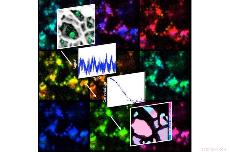New Fluorescent Tracking Technique Illuminates Porous Nanostructures