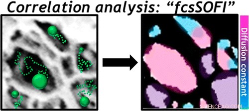 New Fluorescent Tracking Technique Illuminates Porous Nanostructures