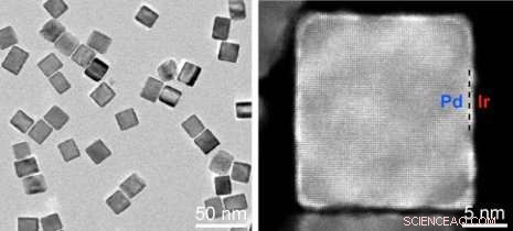 Advanced Catalyst Boosts PSA Test Accuracy by Over 100‑Fold