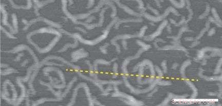 Engineering Conjugated Polymers with DNA Origami for Precision 3D Sculpting