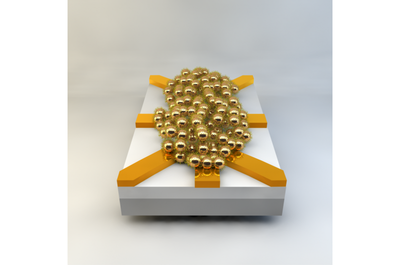 Artificial Evolution Crafts Functional Electronic Circuits