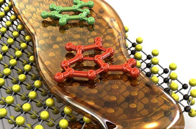 Slowing DNA Sequencing Enhances Accuracy: EPFL Breakthrough