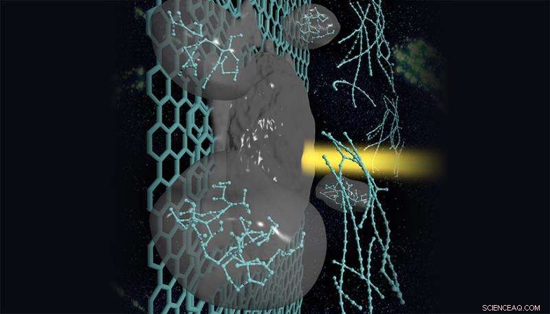 Carbon Research Promises Breakthroughs for Nanoelectronics