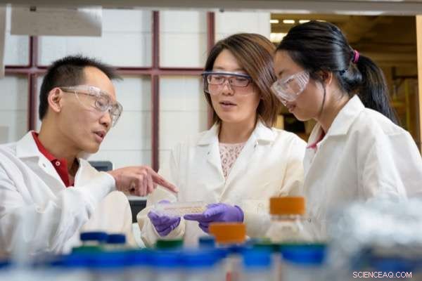 Modular Biosensor Platform for Rapid Cancer Marker Detection