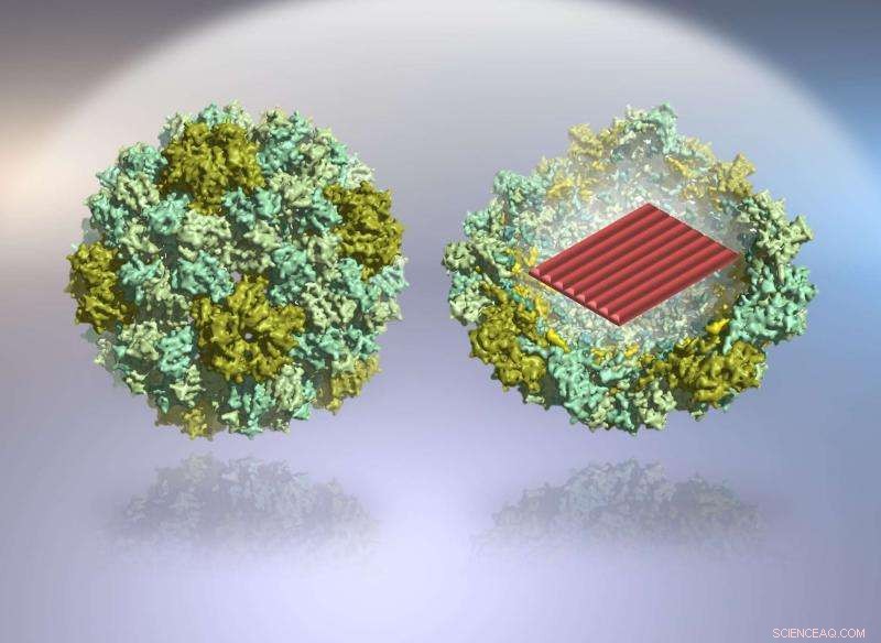 Harnessing DNA Origami Nanodevices for Targeted Molecular Medicine