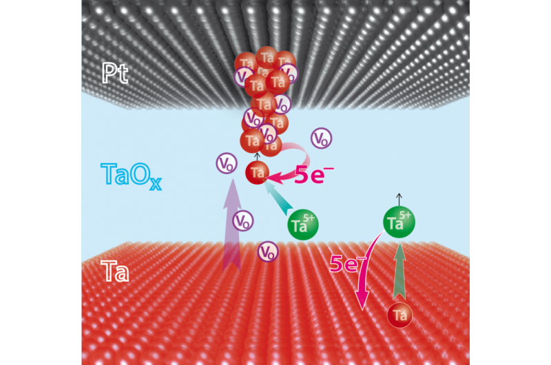 Unveiling Advanced Processes in Modern ReRAM Memory Cells