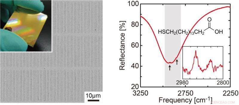 Advanced Metamaterial Absorbers Boost Infrared Spectroscopy Performance