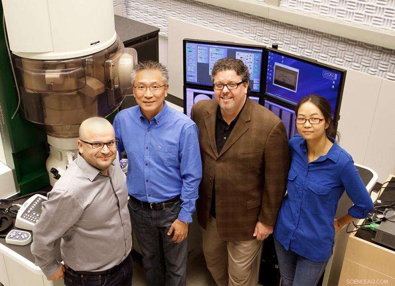 Breakthrough in Nano-Scale Electronics: Scientists Build Devices One Layer at a Time