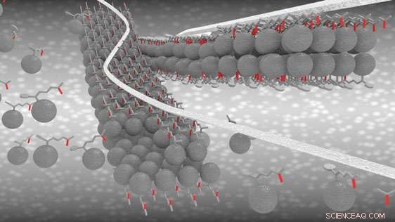 Molecular Nanoribbons: Pioneering Electronic Highways for Advanced Solar Technology