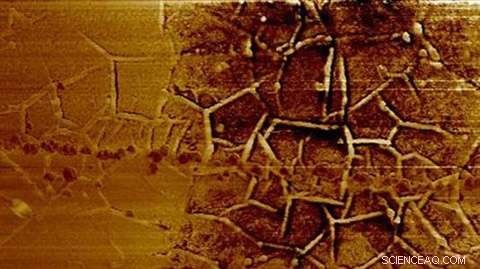 Vanishing Carbon Circuits on Graphene Offer New Security and Biomedical Applications