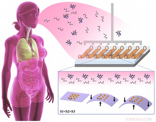 Revolutionizing Cancer Diagnosis: Advanced Electronic Nose Sensors Detect Breath Biomarkers