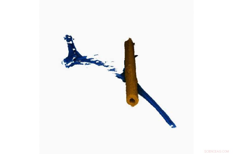 High-Speed Electron Tomography Achieves Unprecedented 3D Imaging of the Nanoworld