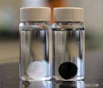 Engineers Transform Trees into Advanced Energy Storage Solutions