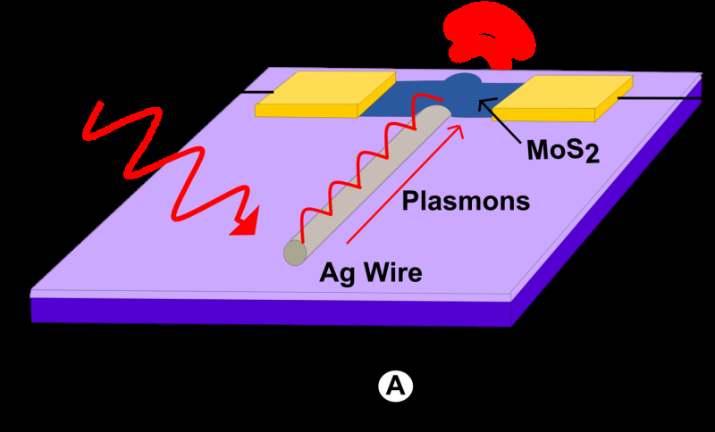 Revolutionary Nanoscale Photodetector Enhances Photonic Circuit Capacity