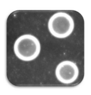 Enhance Drug Delivery with Nano-Scale Microbubble Technology