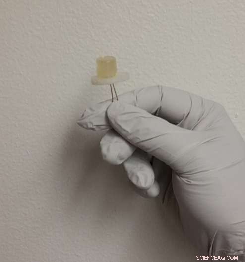 Scientists Develop LED Lights from Food and Beverage Waste