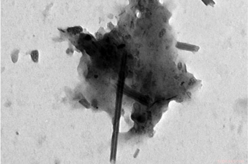 New Research Reveals Nanotubes as Common Pollutants in Human Lungs