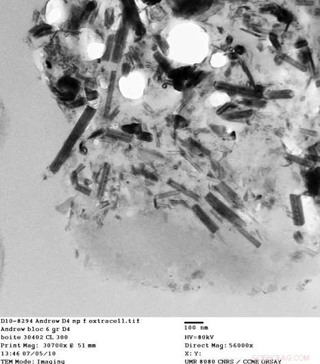 New Research Reveals Nanotubes as Common Pollutants in Human Lungs
