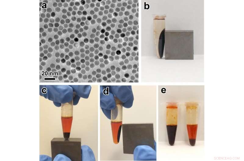 Magnetically Controlled Battery Promises Efficient Energy Storage for Power Grids