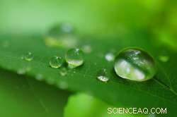 Nano-Software Enhances Worker Safety and Industry Compliance