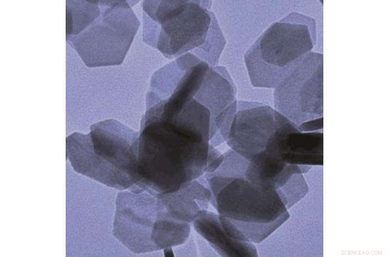 Smartphone‑Based Nitrogen Dioxide Detection: A Game‑Changing Tool Against Air Pollution