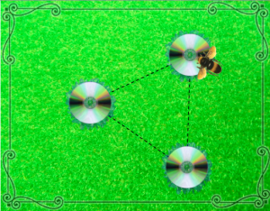 How Iridescent Nanostructures in Plants Shape Animal Behavior: Development, Function, and Evolution