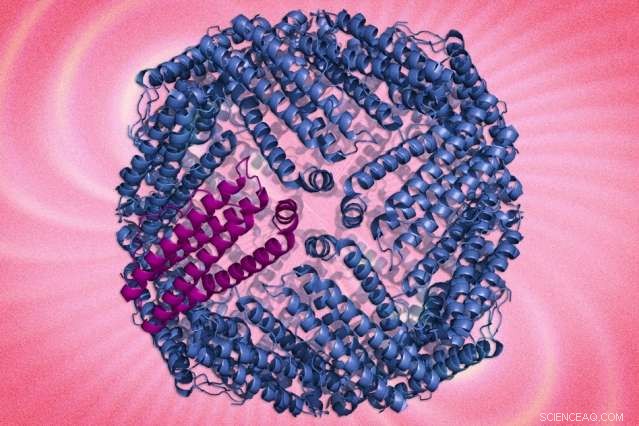 Revolutionary Protein Nanoparticles Enable Precise Tracking of Cellular Interactions