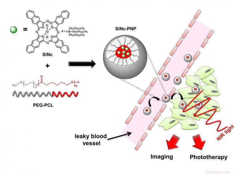 Oregon State University Unveils Single‑Agent Phototherapy System as Powerful New Cancer Treatment