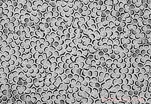 Vertically Aligned Polymer Nanotube Arrays Boost Piezoelectric Response for Acoustic Sensors