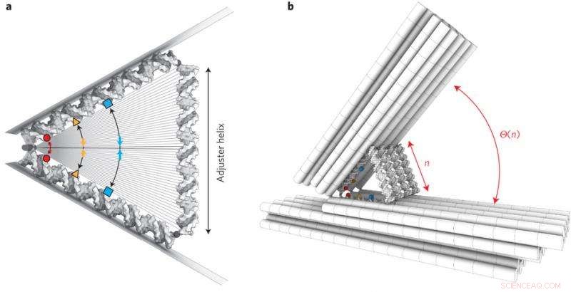DNA Scaffolds Enable Precise Nanometer-Scale Molecular Placement