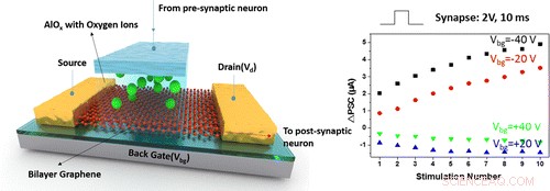 Mimicking Human Brain Synapses Could Revolutionize Electronics