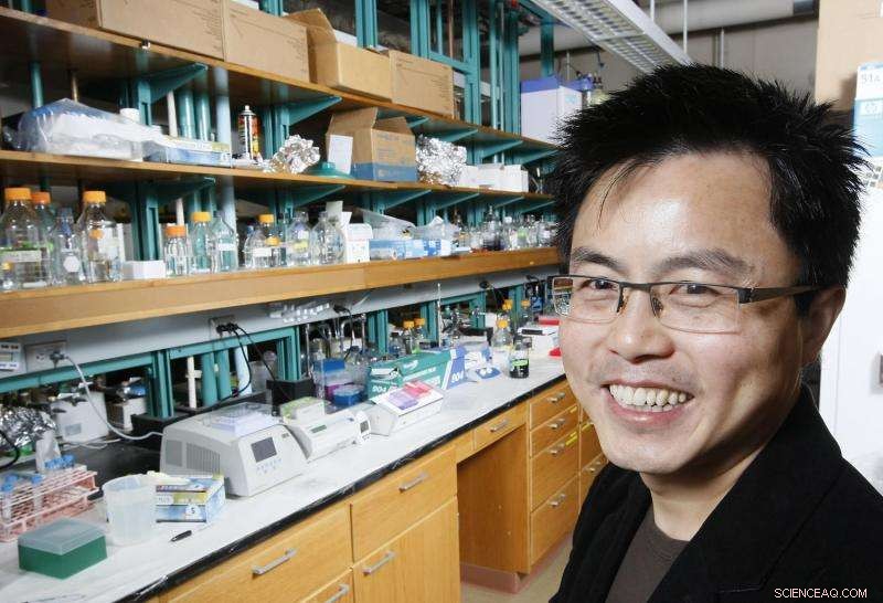 Dendrimer Technology Enhances Cellular Protein Imaging, Boosting Cancer Therapy Potential