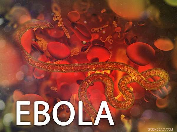 Scientists Announce Novel Nanotech Ebola Rapid Test