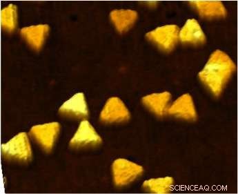 Innovative Nanotech Sensor Detects Blood microRNAs for Rapid Cancer Diagnosis