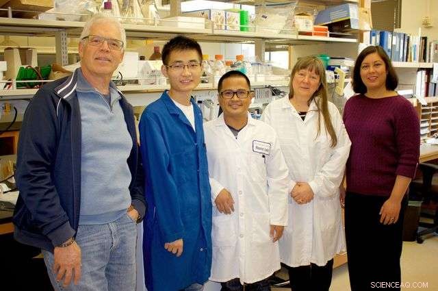 Breakthrough Nanotech Delivers Safer, Faster Water Purification