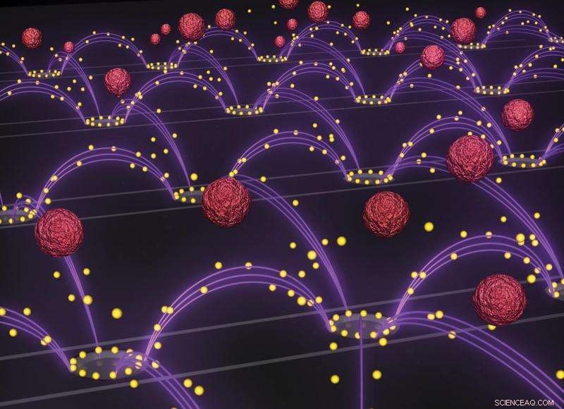 Electric Fields Efficiently Remove Nanoparticles from Blood, Enhancing Drug Delivery