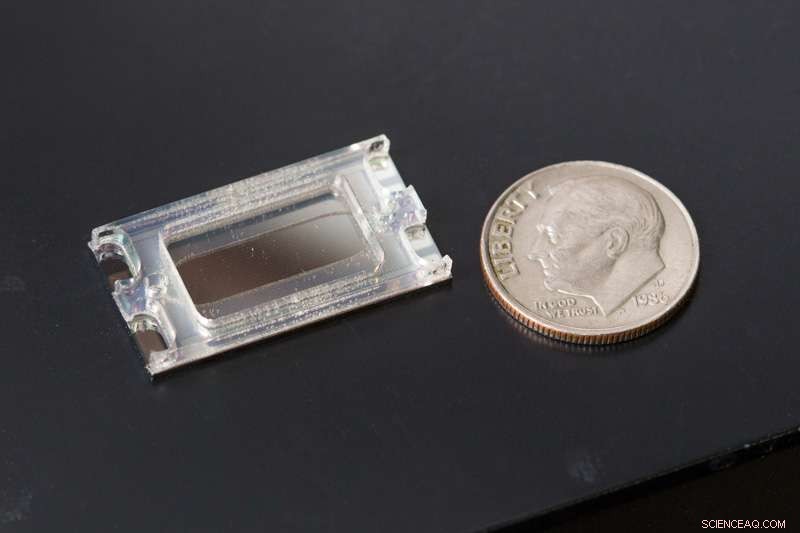 Electric Fields Efficiently Remove Nanoparticles from Blood, Enhancing Drug Delivery