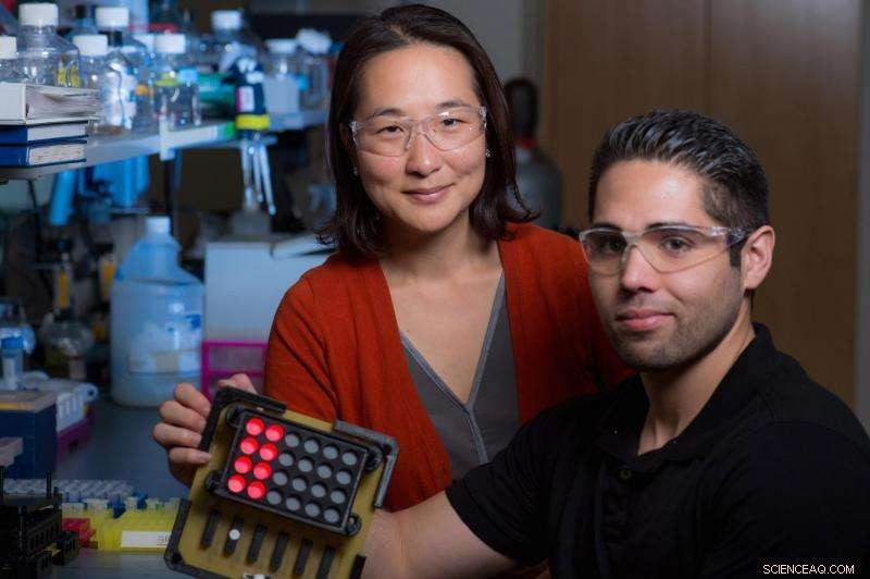 Light‑Controlled Viral Systems Deliver Gene Cargo to Cells