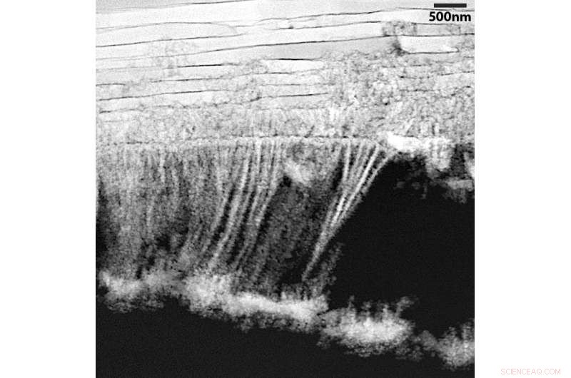 Scientists Reveal the Secrets of Mother‑of‑Pearl Formation