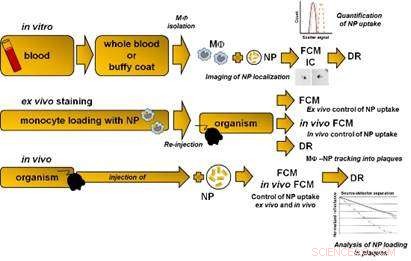 New Biophotonics Technique Promises Early Detection of Unstable Atherosclerotic Plaques