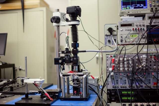 High‑Speed Microscope Captures Near‑Real‑Time Nanoscale Chemical Processes