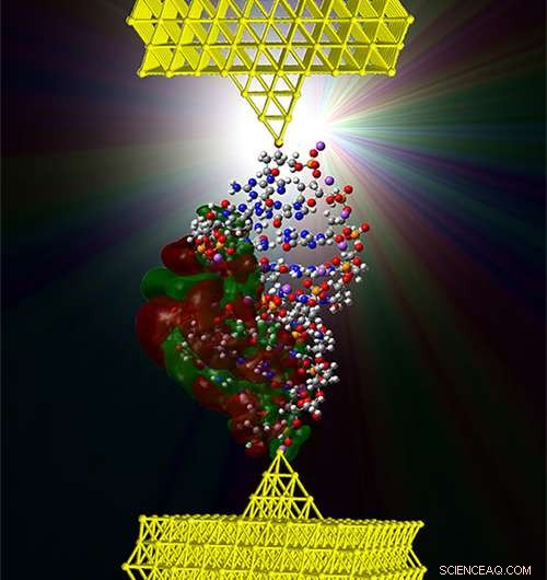 DNA-Based Electromechanical Switch Demonstrated by UC Davis and UW Researchers