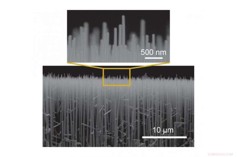 Researchers Find 13,000‑Fold Boost in Electron Emission Using a Single Layer of Nanodiamonds
