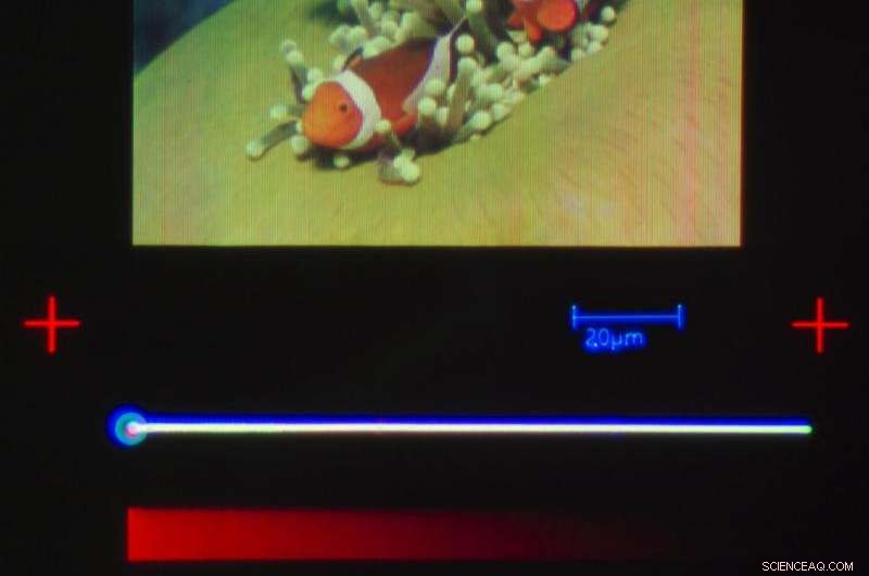 ETH Zurich Sets New Record: The Smallest Inkjet Color Print Ever Made