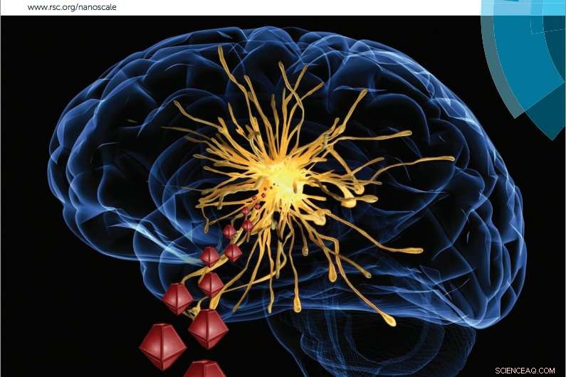 Even Low Levels of Nanoparticles Can Damage Brain Cells, New Study Finds