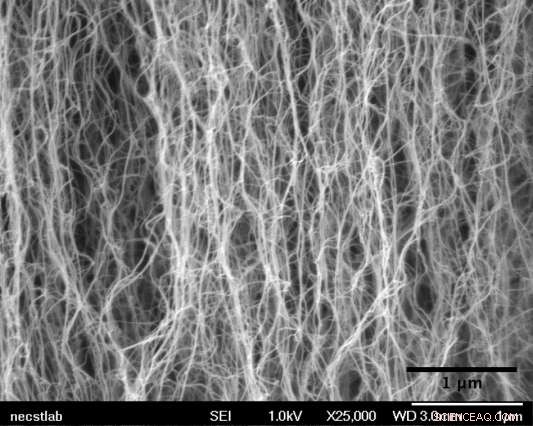 Revolutionary Carbon Nanotube Forests Boost Rare Protein & Virus Detection