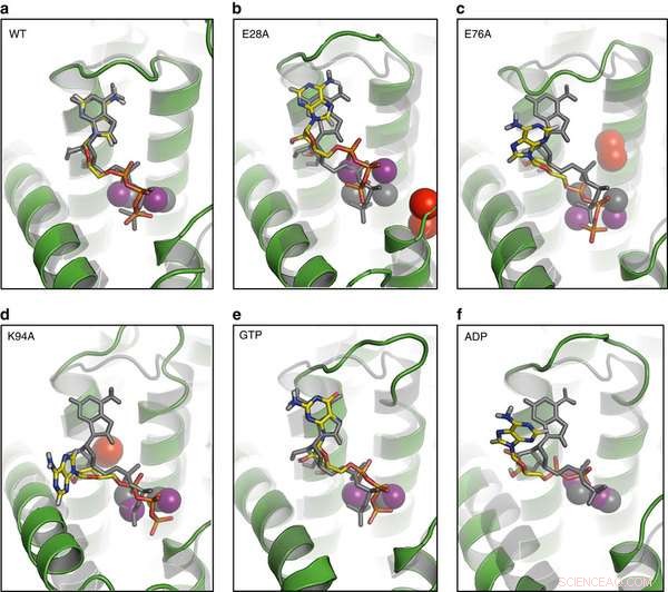Scientists Design Molecular Blueprint for Tiny Cellular Nanomachine