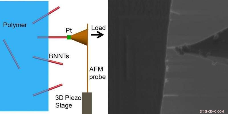 Boron Nitride‑Reinforced Materials Outperform Carbon: A Breakthrough in Strength