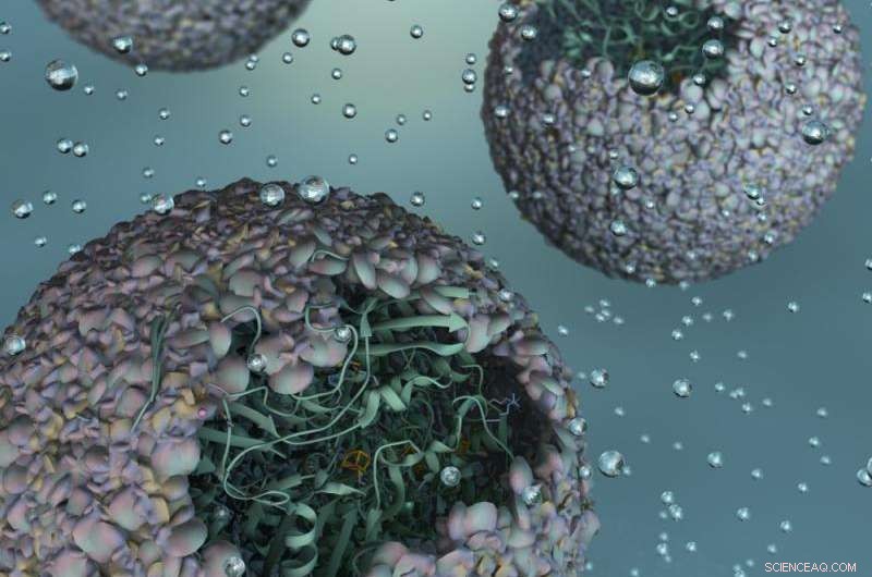 Indiana University Scientists Build Nano‑Reactor for Efficient Hydrogen Biofuel Production