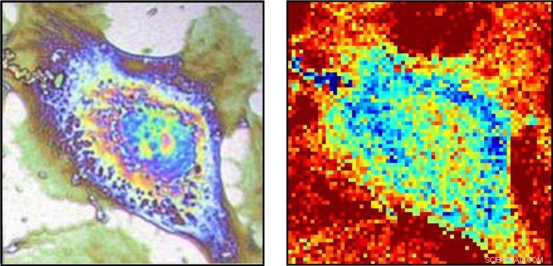 Micrometer-Resolution Thermal Imaging Reveals Single-Cell Contrast Using Cellular Heat Properties